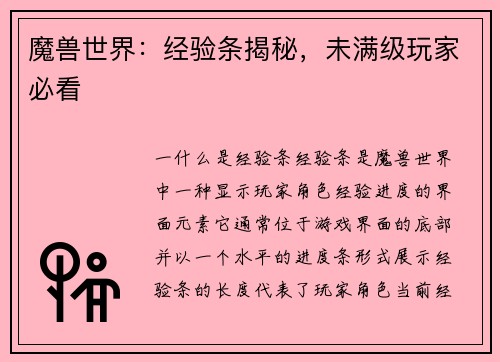 魔兽世界：经验条揭秘，未满级玩家必看